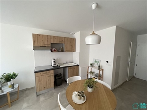 appartement à la vente -   31000  TOULOUSE, surface 20 m2 vente appartement - APR699721